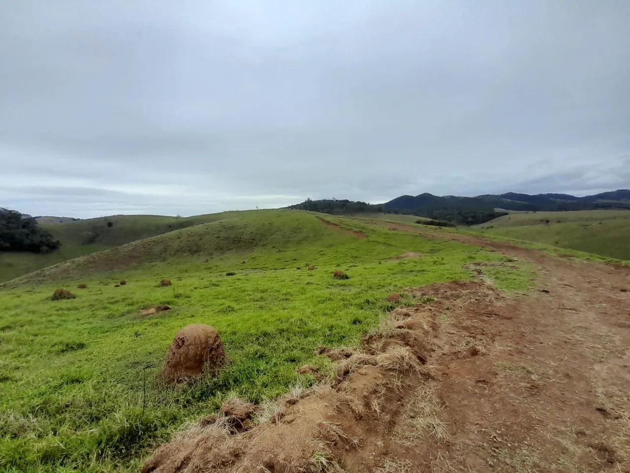 Excelente Terreno em Paraibuna com acesso a Represa   - Foto 5