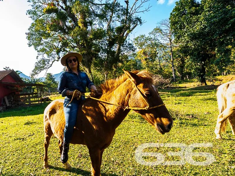 Chacará | Joinville | Quirirí - Foto 4