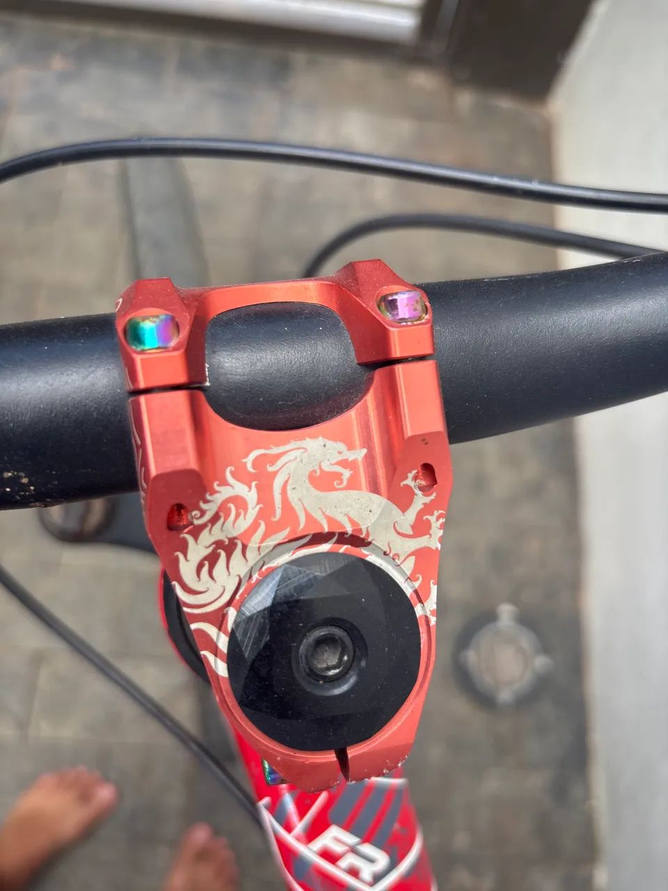 Gios vermelha - Foto 2