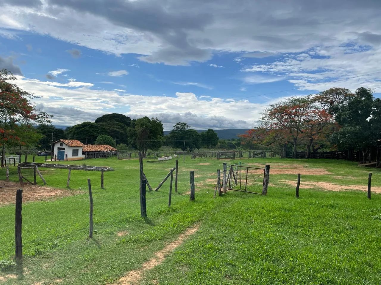 Fazenda 365 hectares  - Foto 3