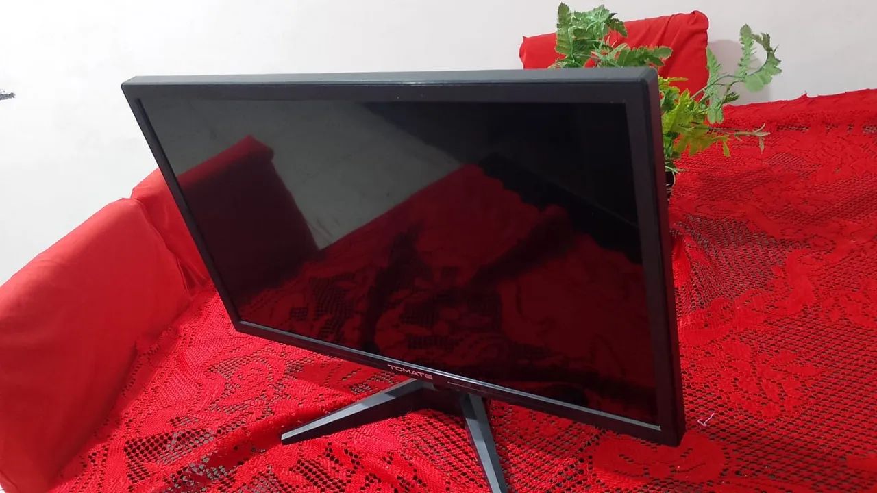 Monitor Pc 