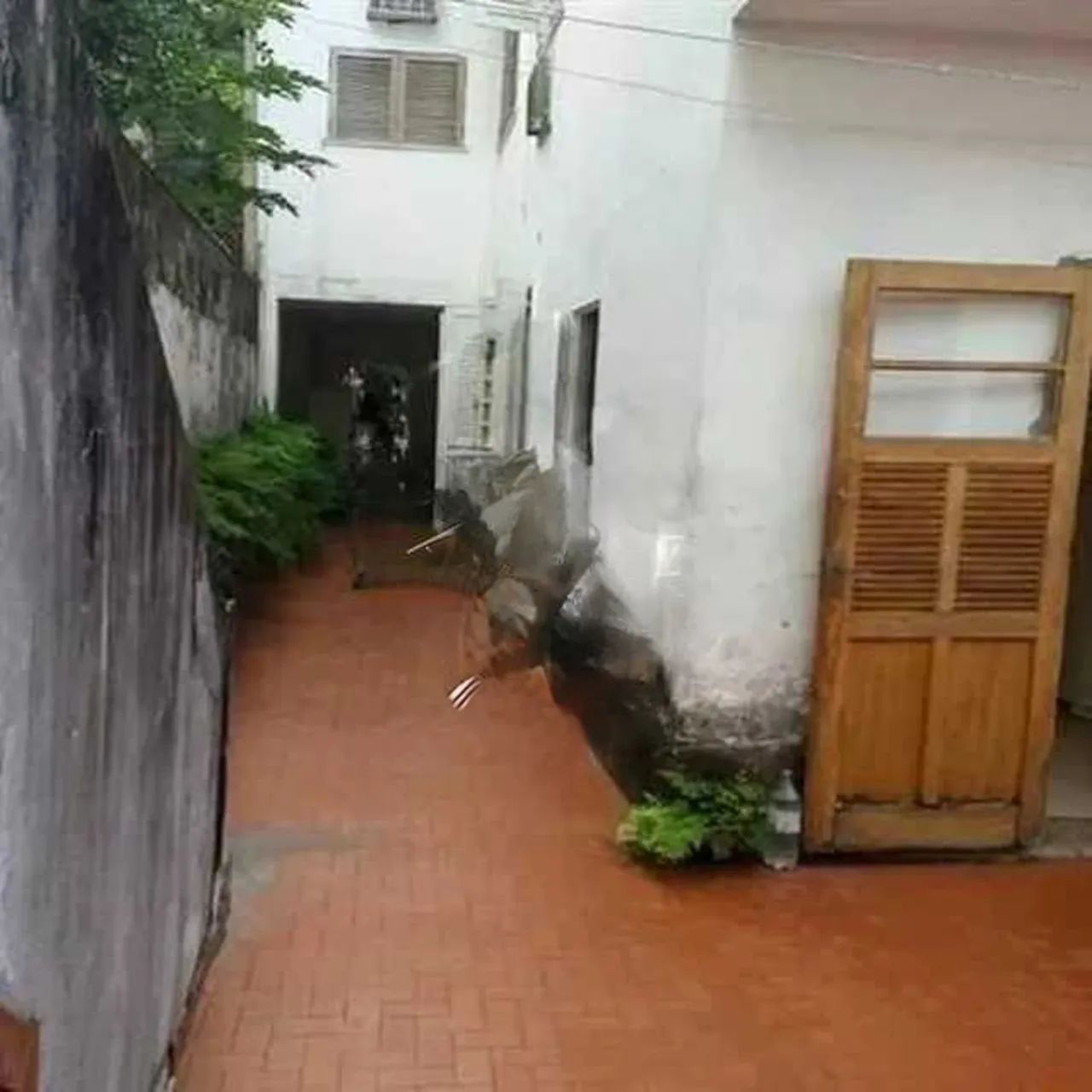 Casa de rua : / Residencial / Gávea - Foto 3