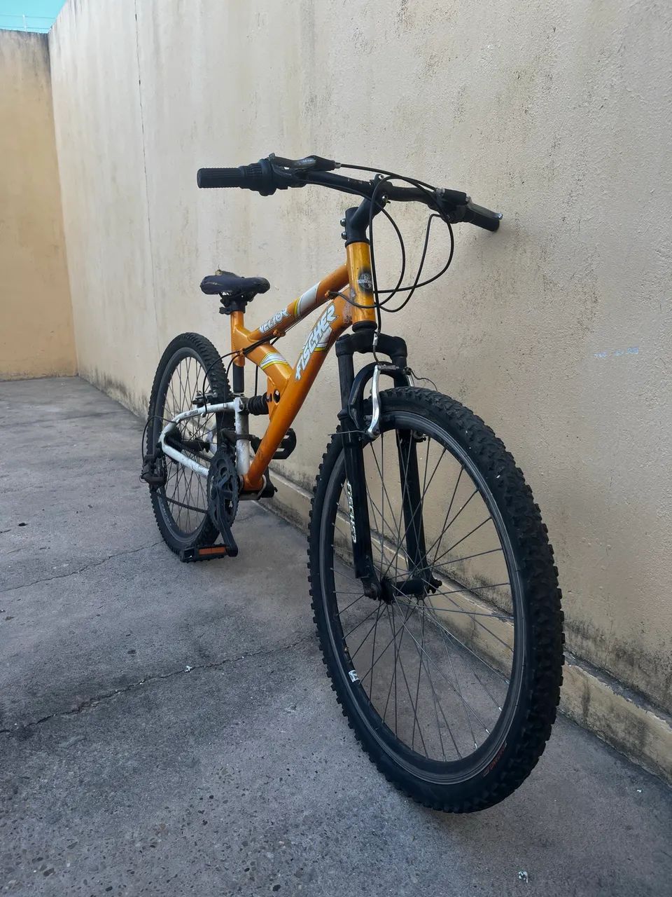 Bicicleta Victor Fischer  - Foto 2