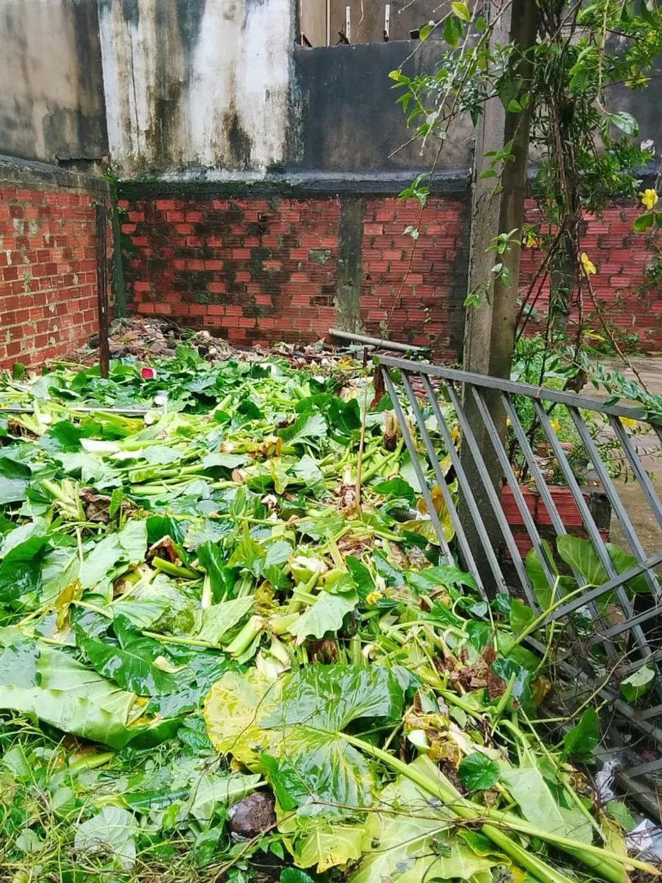 Terreno ótima localização!! - Foto 3