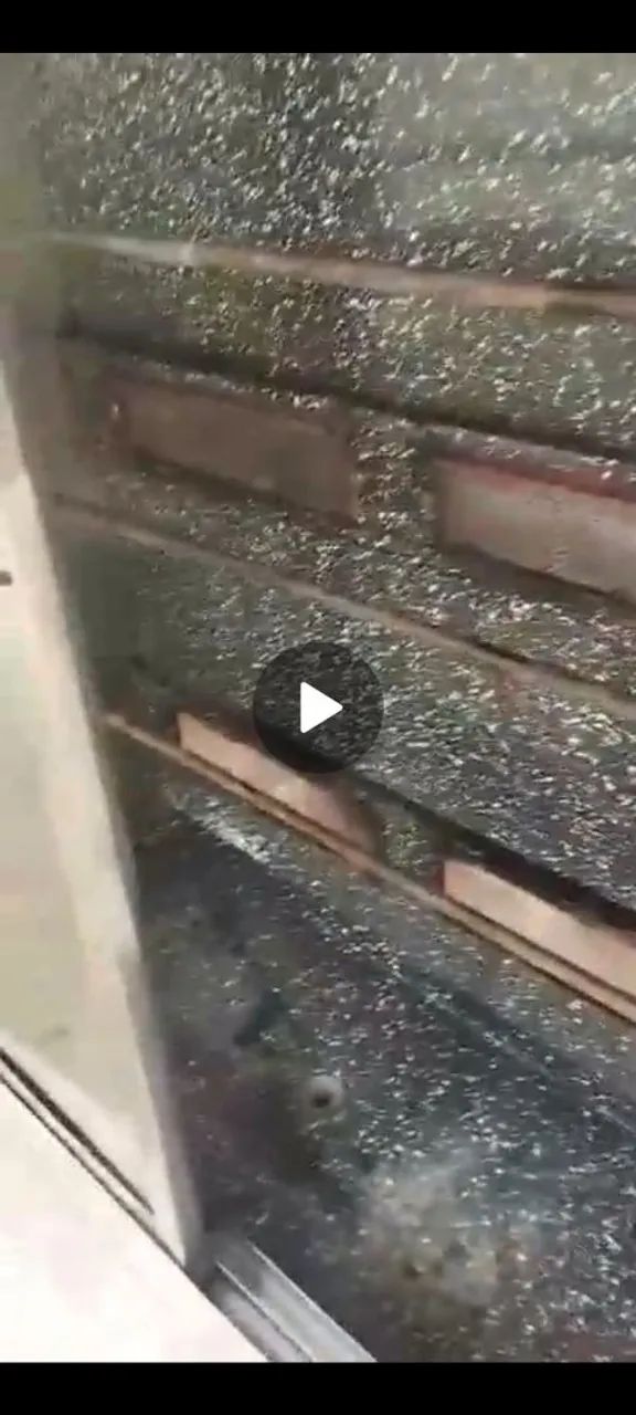 Frangueira  - Foto 3