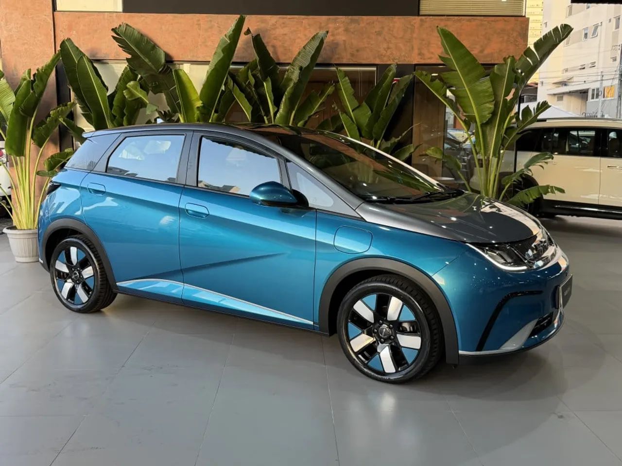 BYD Dolphin Plus (Elétrico) 2025