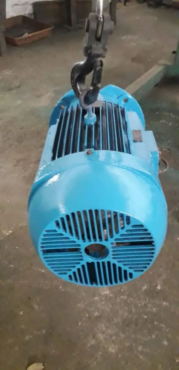 Motor Weg 60cv - Foto 5