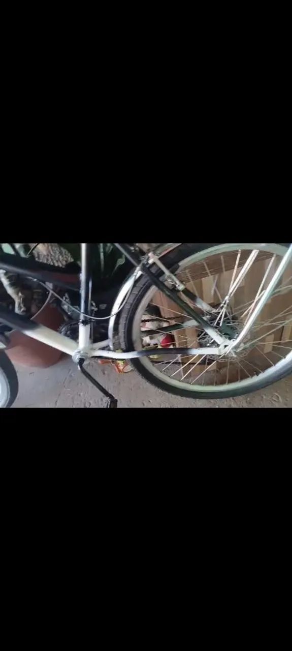 Bike montadinha 