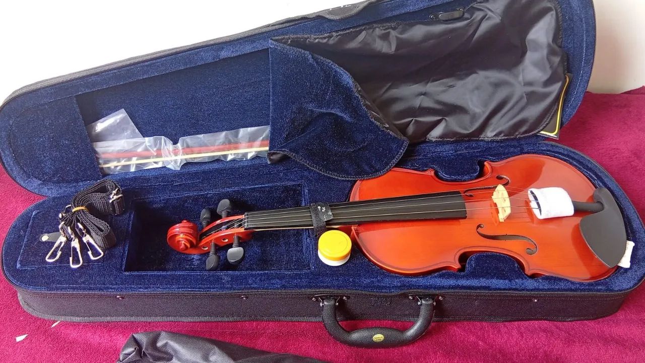 Violino