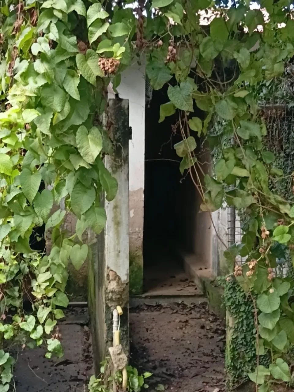 Cafuba obra inacabada - Foto 2