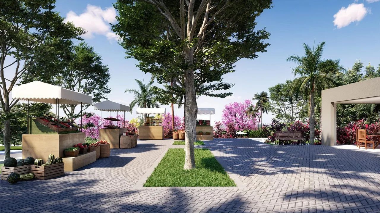 Lote Jardins Roma 262m² - Foto 2