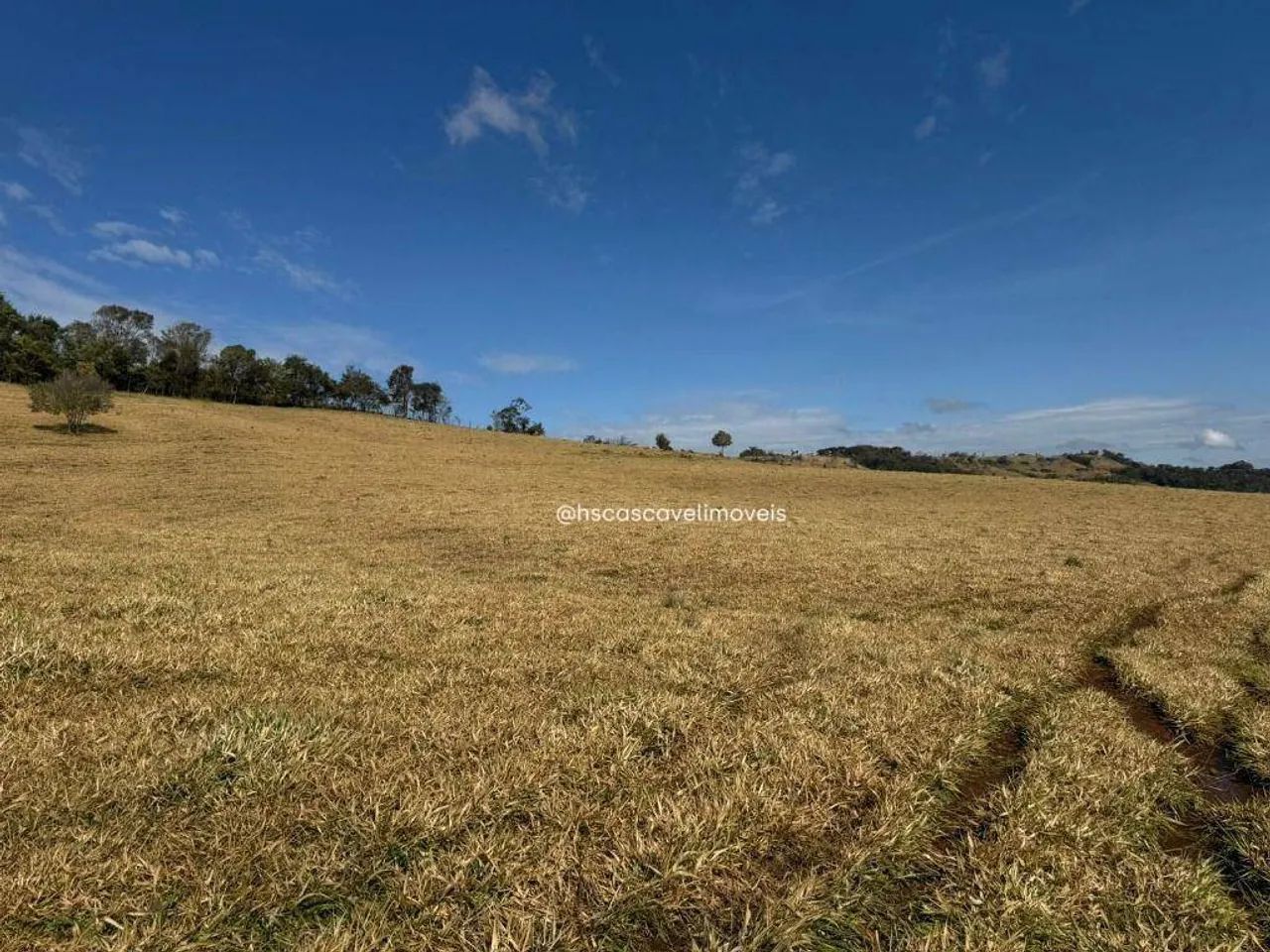 Fazenda em Guaraniaçu - Foto 5