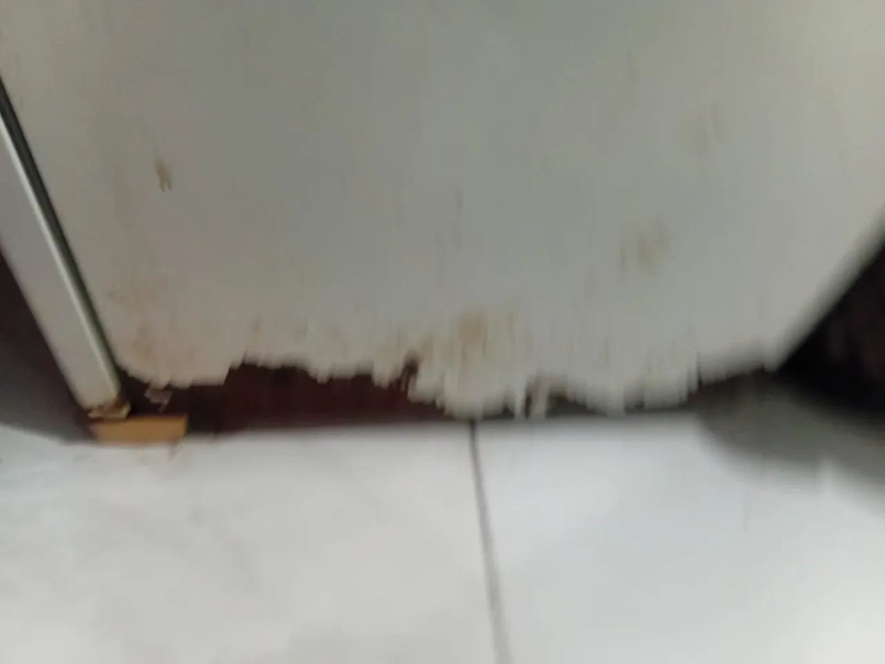 Geladeira grande  - Foto 4