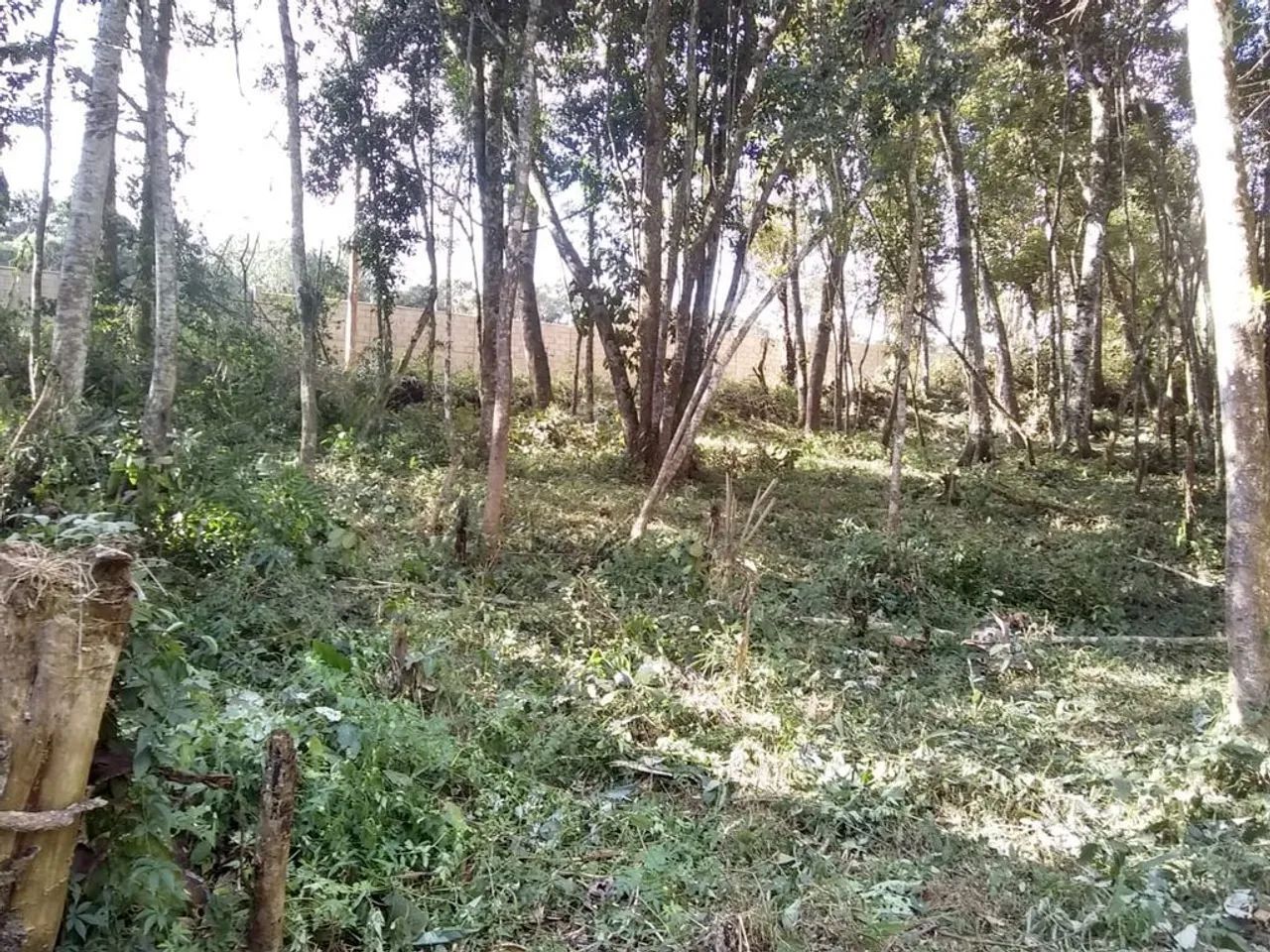 Terreno à Venda em Caputera, Cotia - SP - Foto 5