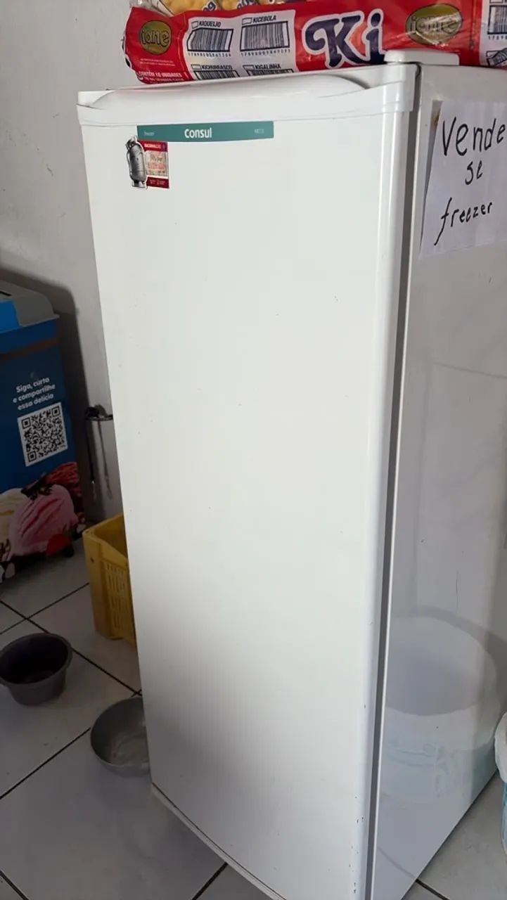 Freezer vertical 