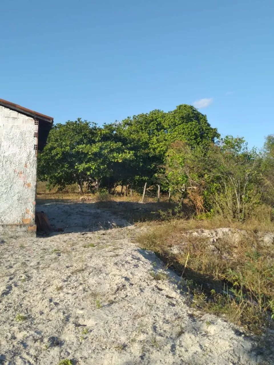 Vendo sítio! - Foto 4