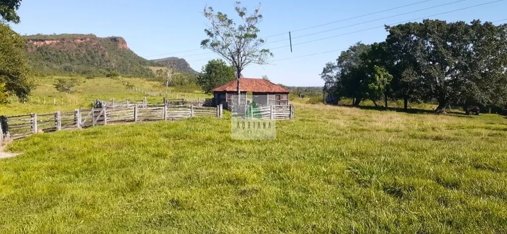 Fazenda com 719 Alqueires - Foto 2