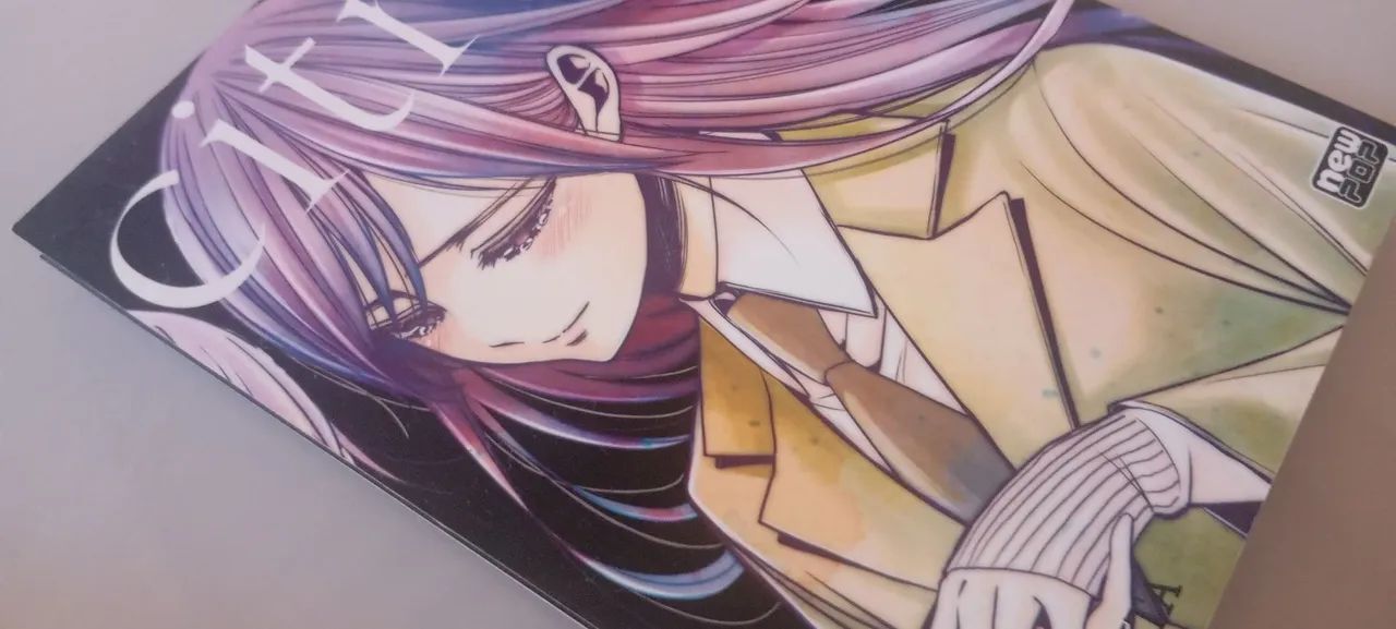 Mangás - Foto 2