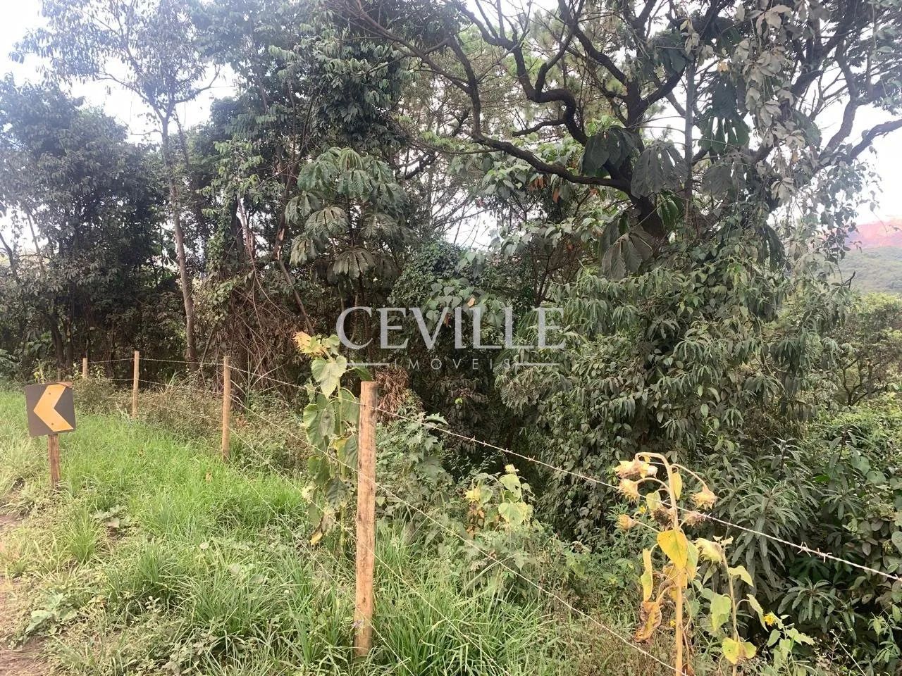 oportunidade de sitio a venda - Foto 5