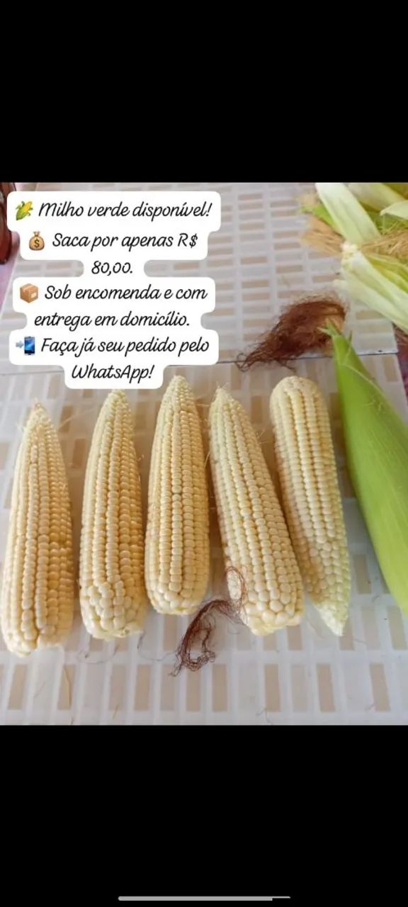 Milho verde - saca