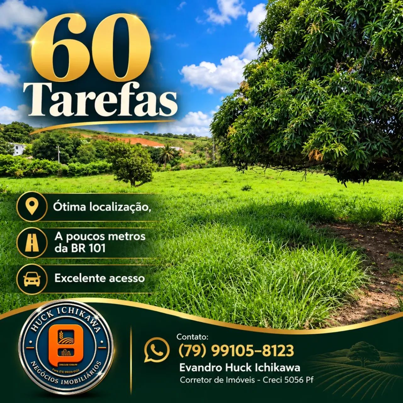 FAZENDA de 60 Tarefas MARUIM - Foto 2