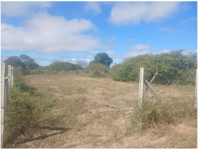 Terreno na Serra de Santana - Foto 4