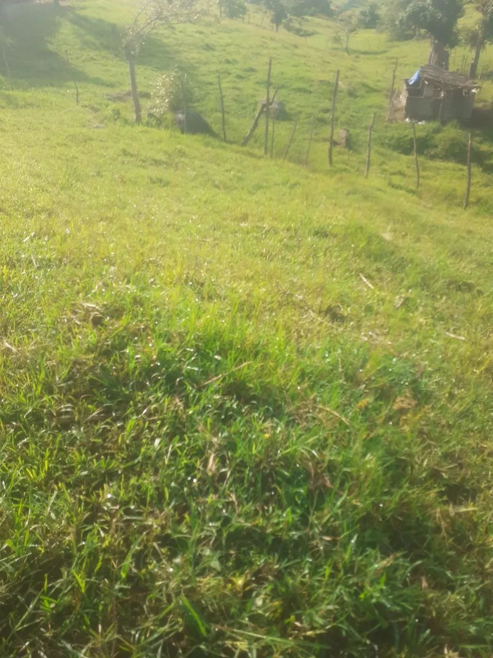 Vendo terreno mar vermelho parque alto e parte de baixo - Foto 3