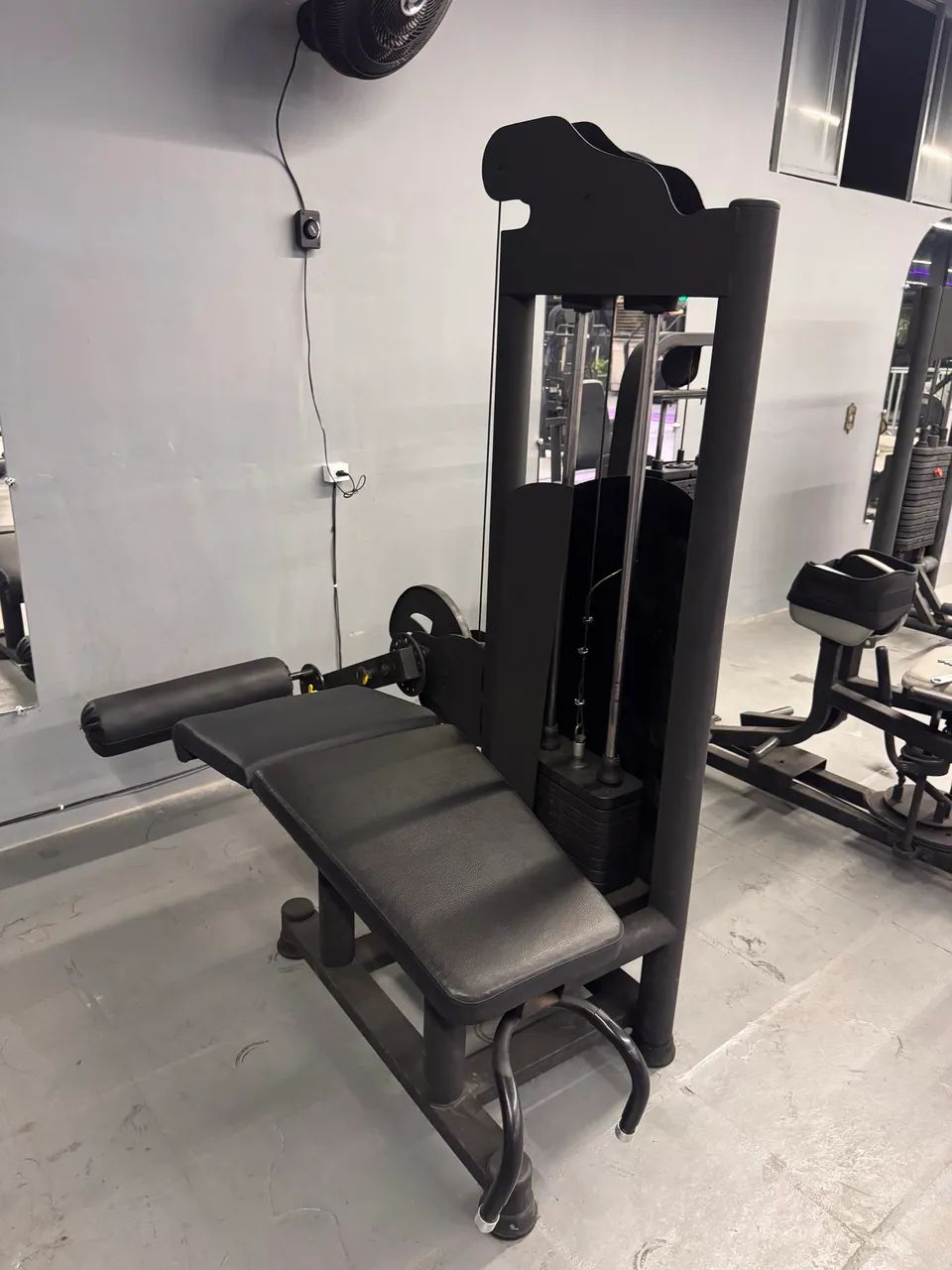Mesa flexora 