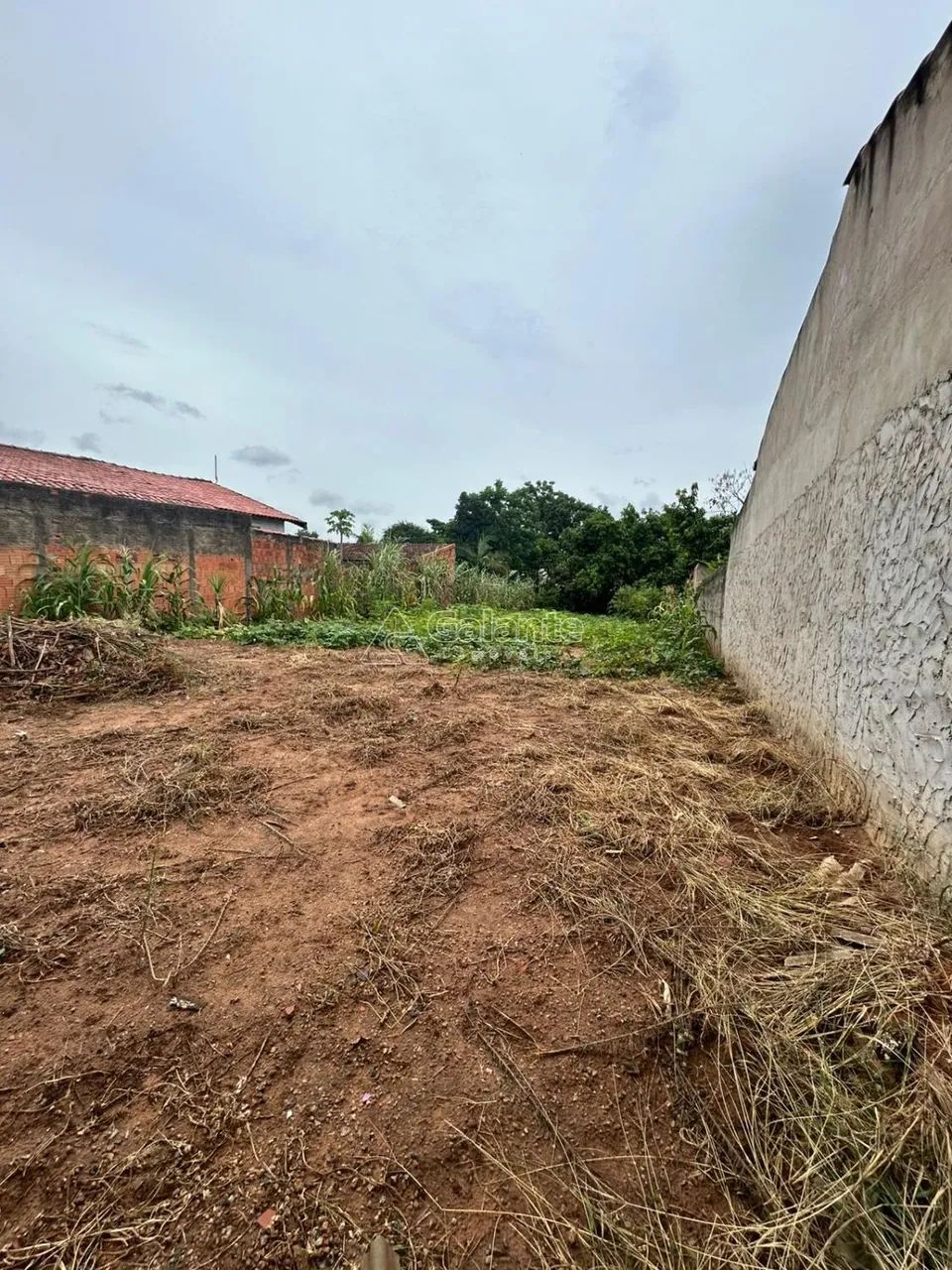 Terreno a Venda no Satélite Iris - Foto 5