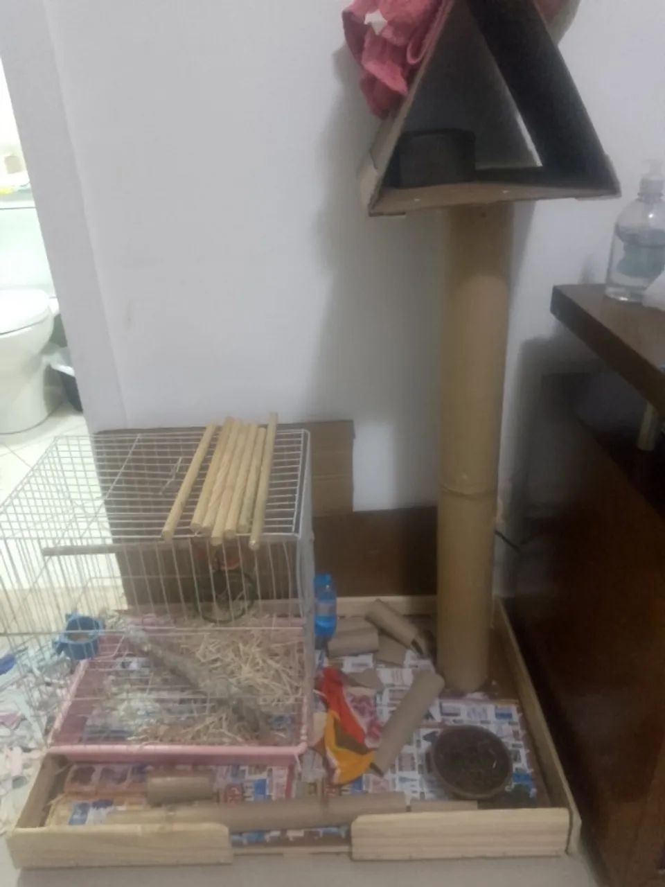 Itens Para Calopisita  - Foto 4