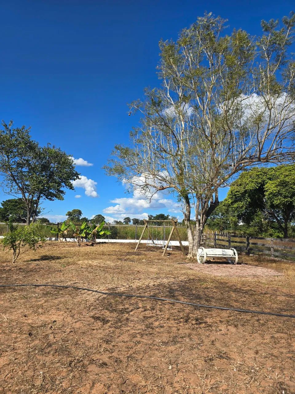 Fazenda em dom aquino Mt - Foto 4