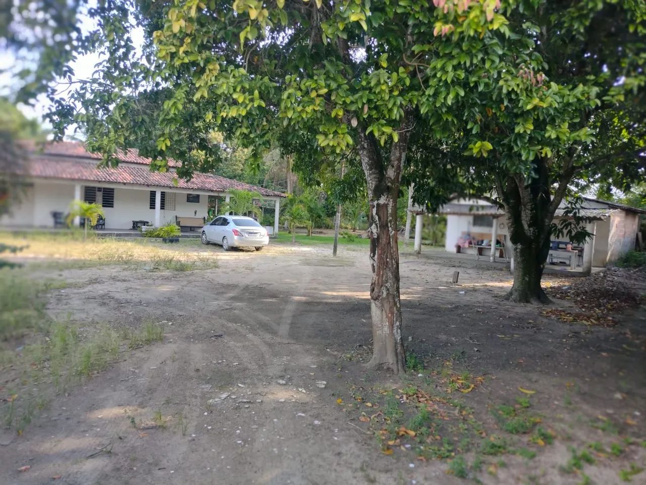 Granja Santa Helena  - Foto 3
