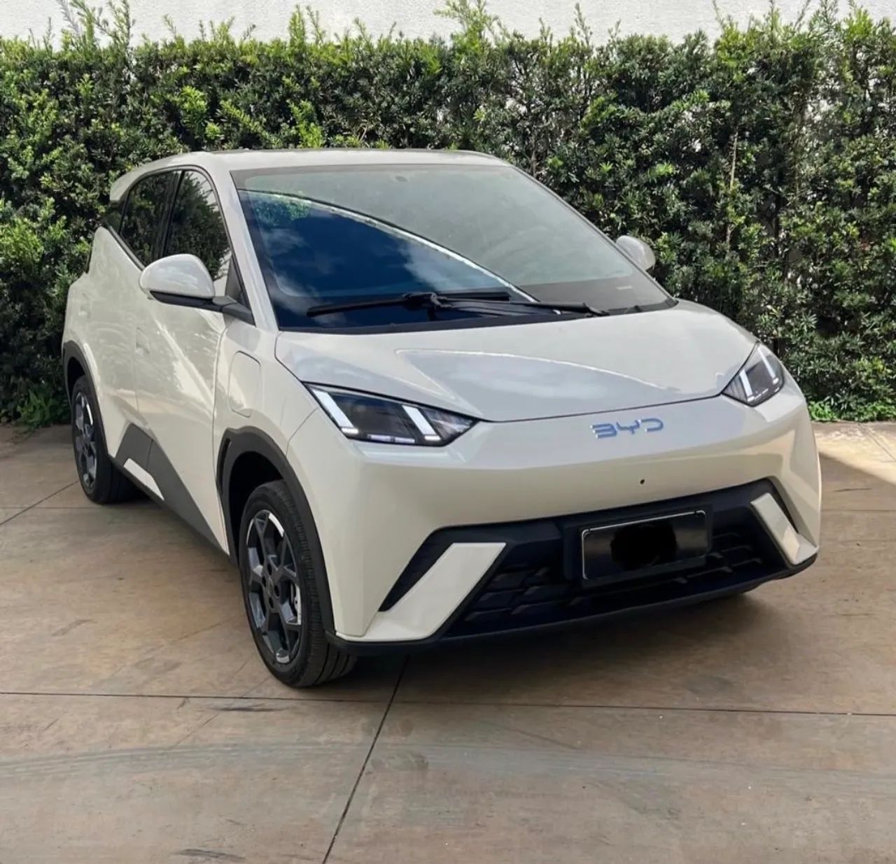 BYD Dolphin Mini (Elétrico) 2025 - Foto 2