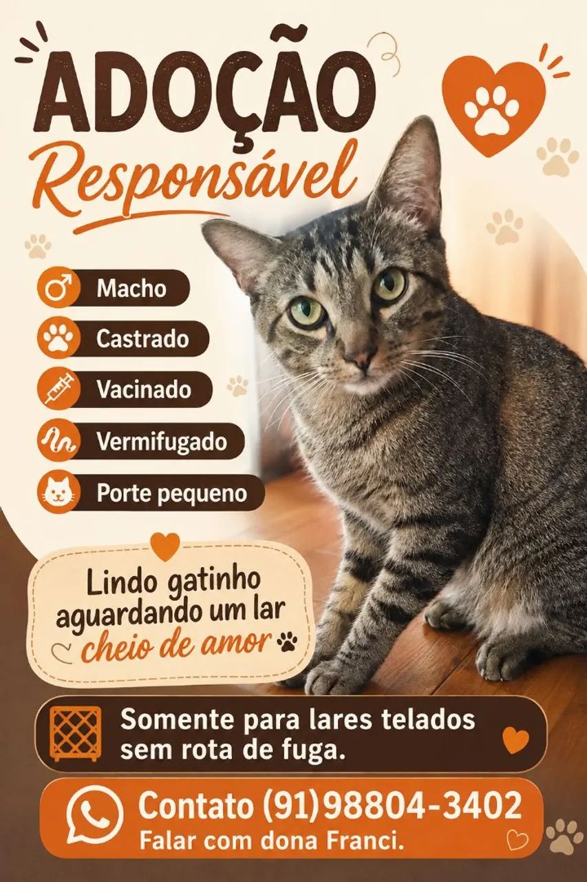 Adoção Responsável
