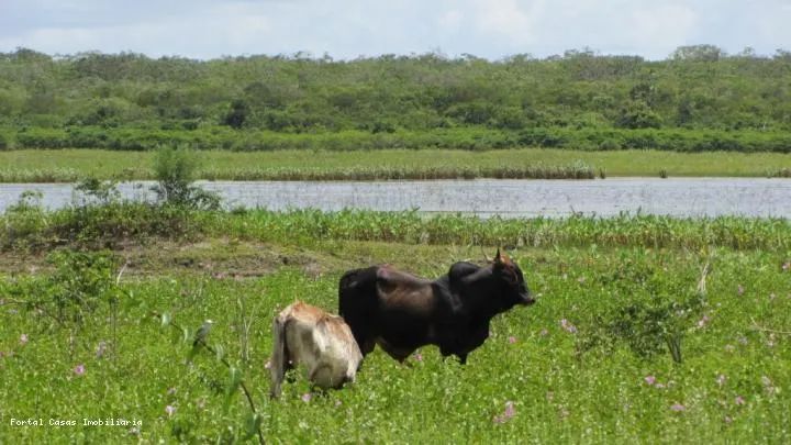 Fazenda para Venda em Trairi, Zona Rural - Foto 4