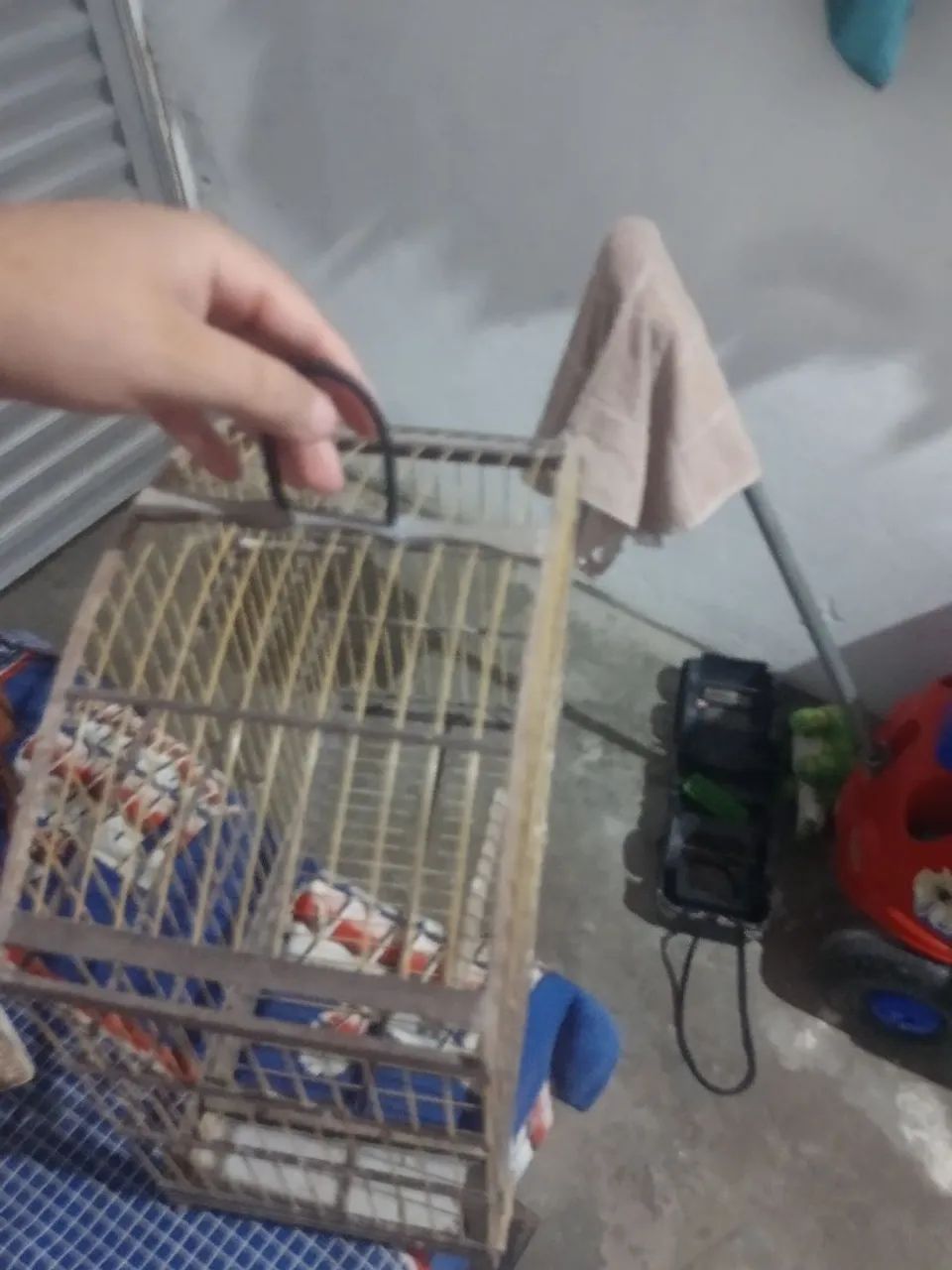 Gaiola de fibra  - Foto 2