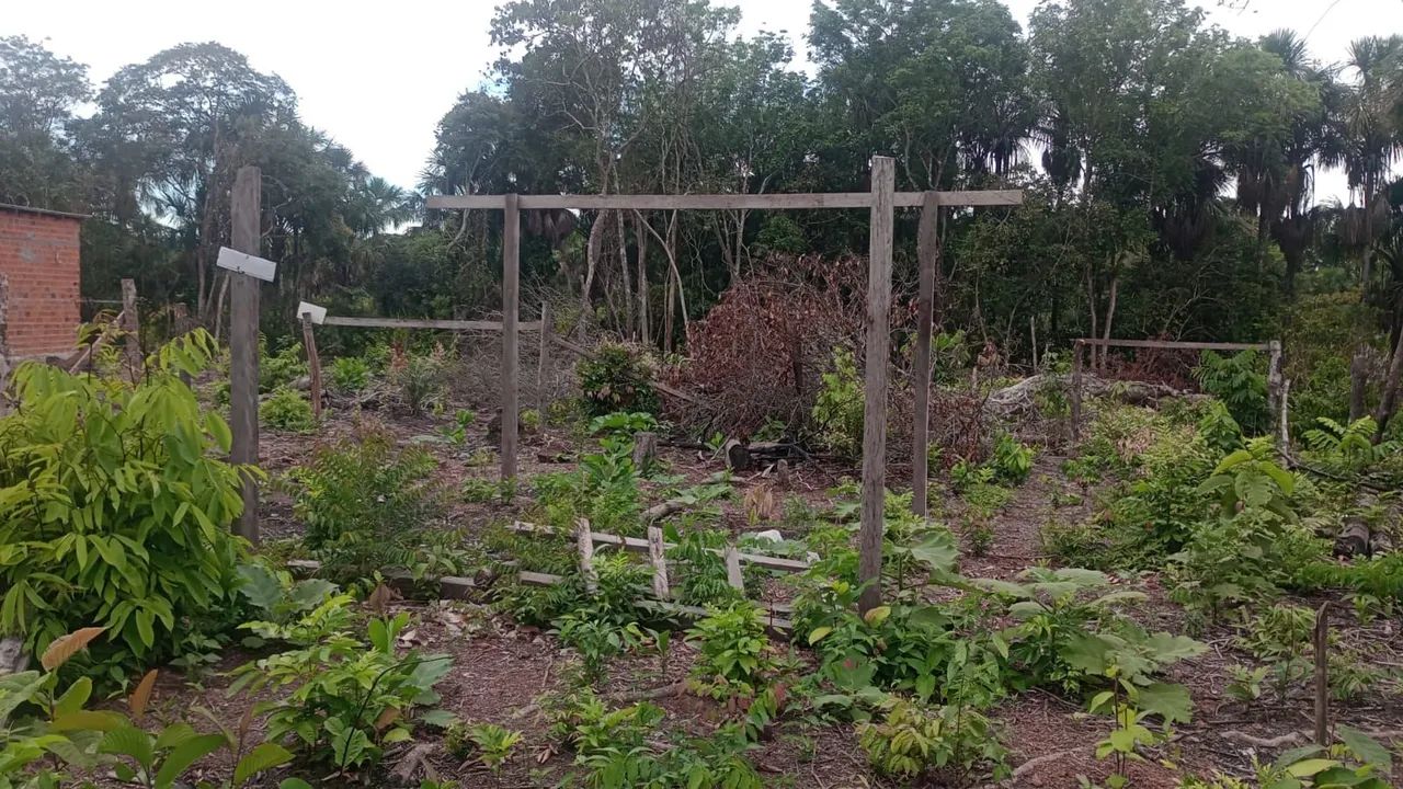 Vende-se Terreno  - Foto 2