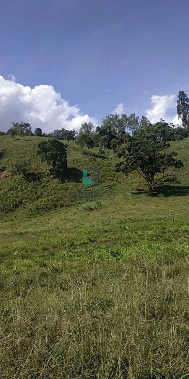 CHÁCARA SEM BENFEITORIAS E FÁCIL ACESSO EM CUNHA-SP