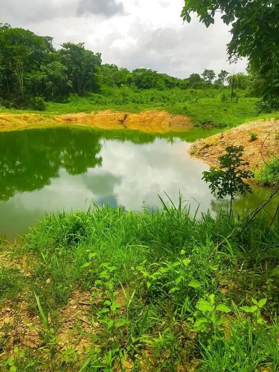 Imóvel rural, 110 m² no Zona Rural em Jaú do Tocantins - Foto 5