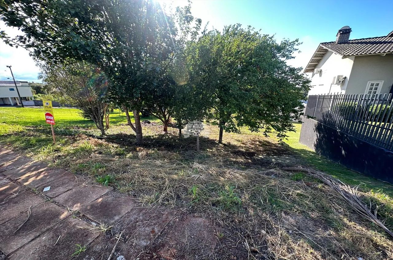 Vendas Terreno Pato Branco PR - Foto 4