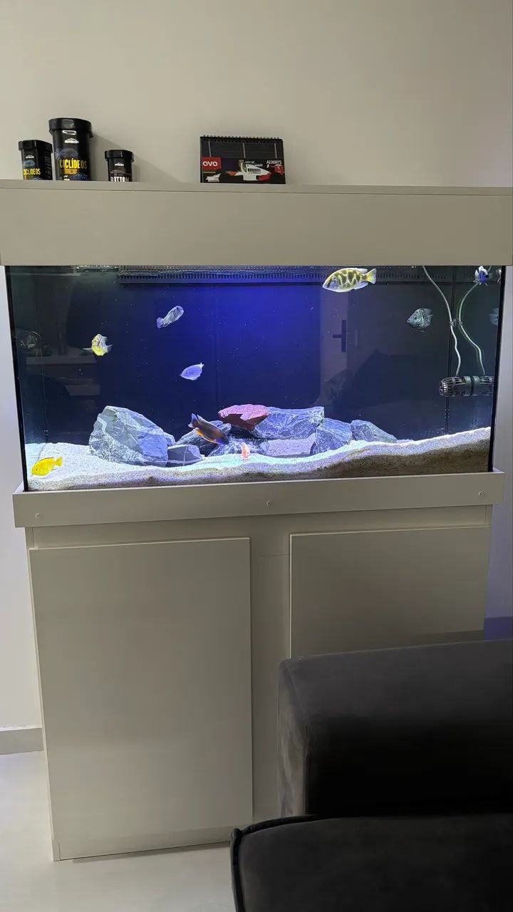 Aquário 200 litros com sump completo - Foto 4