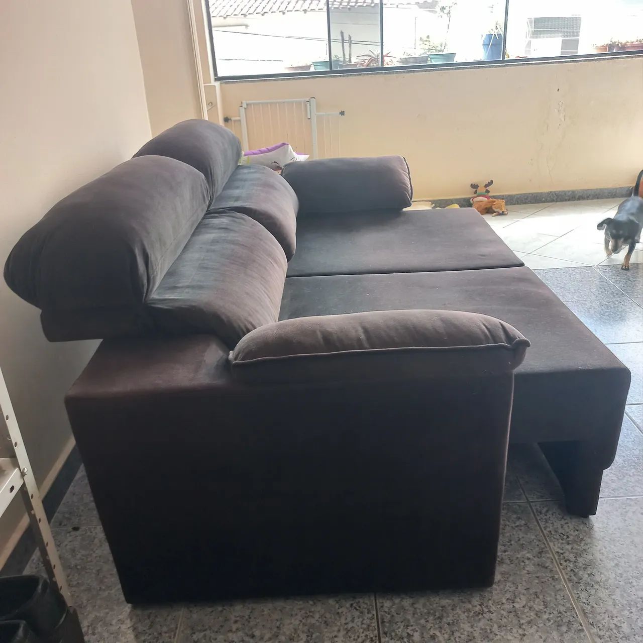 Sala442957945950720003