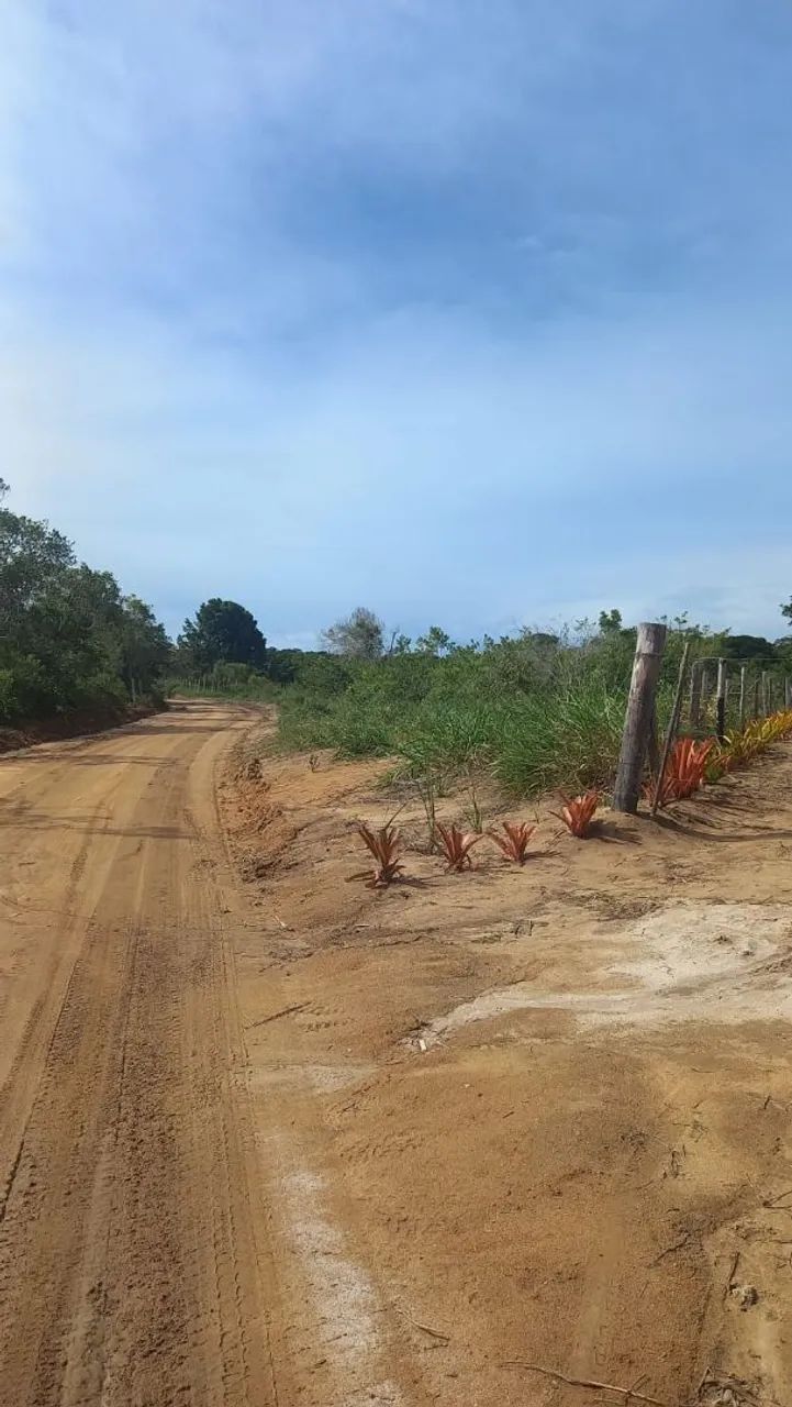Área de terra - Foto 4