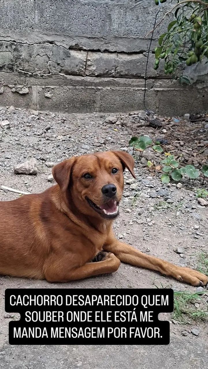 Doação  - Foto 4