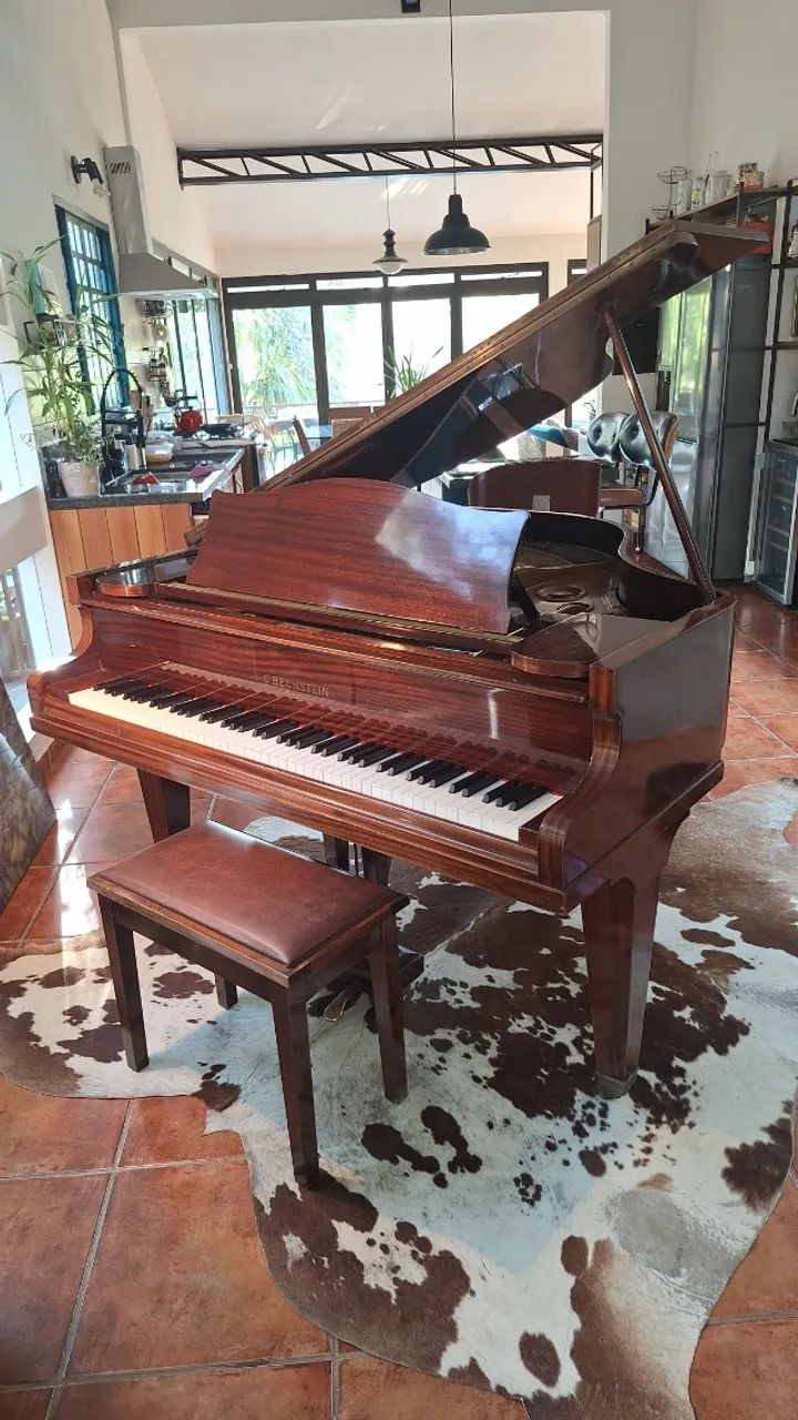 Piano Cauda Bechstein S