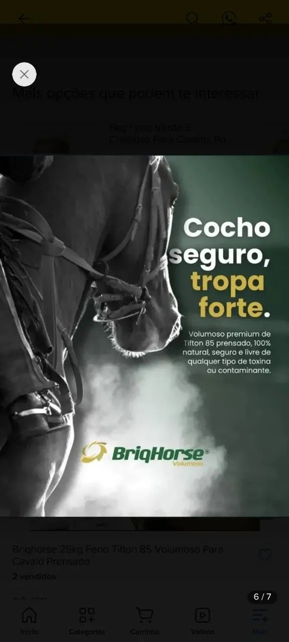 BriqueHorse  - Foto 3