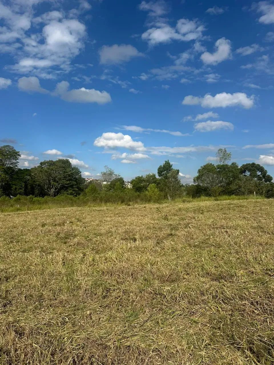 Lote 1000m² em Mairinque Oportunidade Imperdível - Foto 2