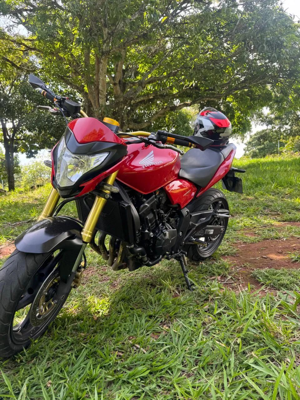 Hornet 