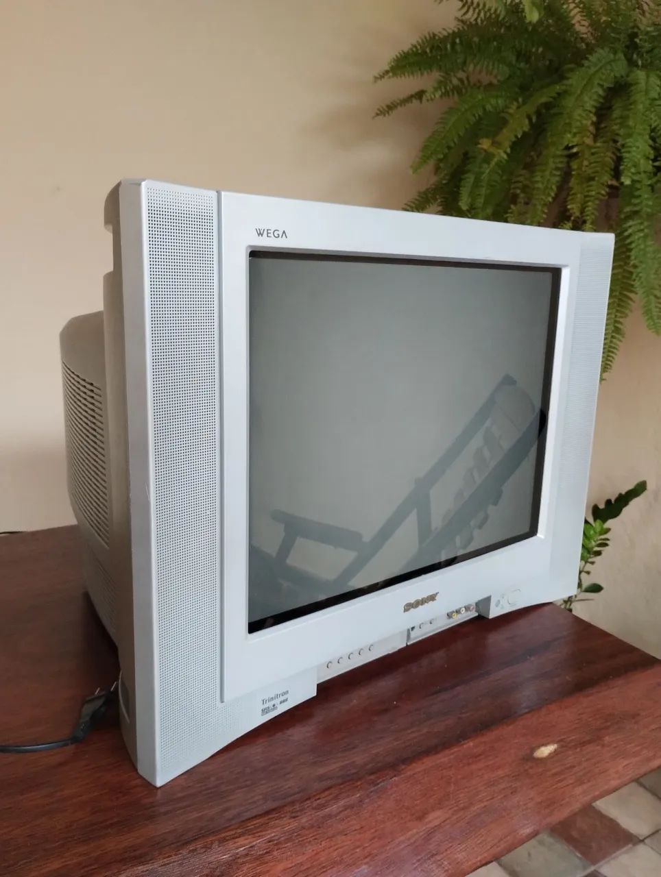 Tv Sony Wega Triniton 21 polegadas 