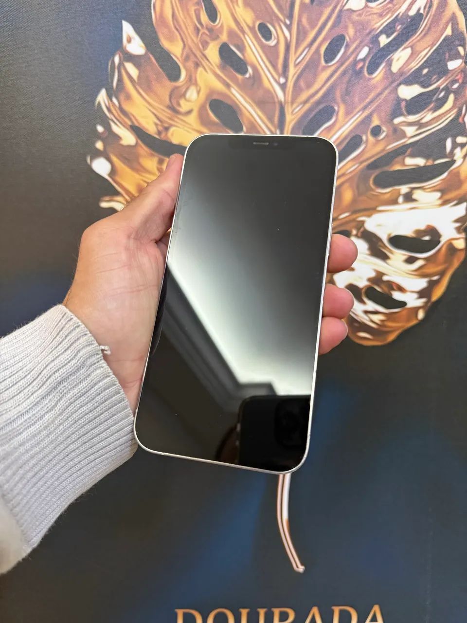 12 PROMAX 256GB - 100% ?original - Foto 4